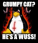 Demonic Penguin | GRUMPY CAT? HE'S A WUSS! | image tagged in demonic penguin,my templates challenge,grumpy cat,last week on overnights,evil penguin,linux | made w/ Imgflip meme maker