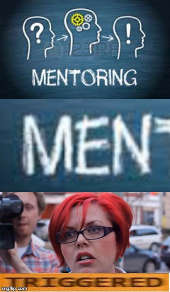 Mentoring programme | image tagged in memes,triggered,feminist,mentor,men,angry female programmer | made w/ Imgflip meme maker