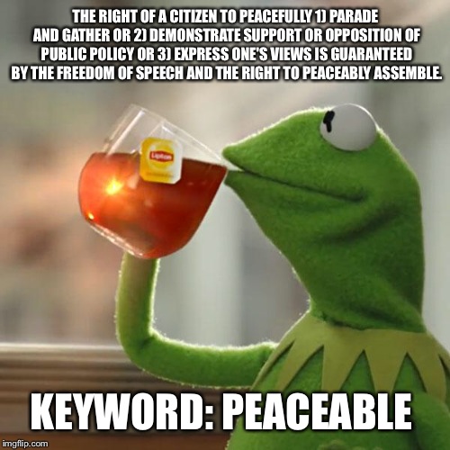 But That's None Of My Business Meme | THE RIGHT OF A CITIZEN TO PEACEFULLY 1) PARADE AND GATHER OR 2) DEMONSTRATE SUPPORT OR OPPOSITION OF PUBLIC POLICY OR 3) EXPRESS ONE'S VIEWS | image tagged in memes,but thats none of my business,kermit the frog | made w/ Imgflip meme maker
