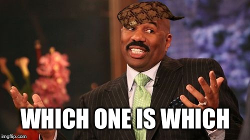Steve Harvey Meme | WHICH ONE IS WHICH | image tagged in memes,steve harvey,scumbag | made w/ Imgflip meme maker