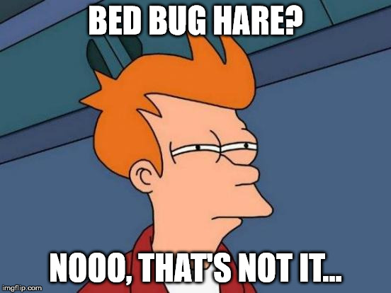 Futurama Fry Meme | BED BUG HARE? NOOO, THAT'S NOT IT... | image tagged in memes,futurama fry | made w/ Imgflip meme maker