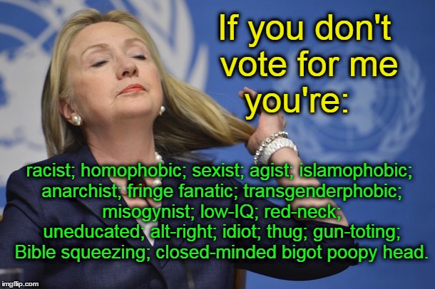 If you don't vote for Hillary, you are... | If you don't vote for me; you're:; racist; homophobic; sexist; agist; islamophobic; anarchist; fringe fanatic; transgenderphobic; misogynist; low-IQ; red-neck; uneducated; alt-right; idiot; thug; gun-toting; Bible squeezing; closed-minded bigot poopy head. | image tagged in hillary clinton,racist,homophobic,bible squeezing,gun toting | made w/ Imgflip meme maker