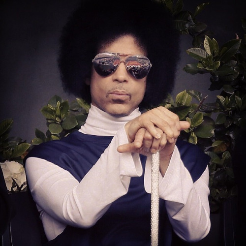 High Quality prince Blank Meme Template