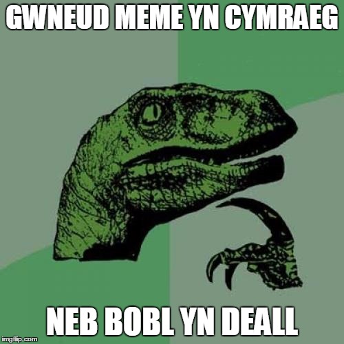 Philosoraptor Meme | GWNEUD MEME YN CYMRAEG; NEB BOBL YN DEALL | image tagged in memes,philosoraptor | made w/ Imgflip meme maker