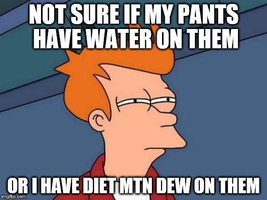 Futurama Fry | NOT SURE IF MY PANTS HAVE WATER ON THEM; OR I HAVE DIET MTN DEW ON THEM | image tagged in memes,futurama fry | made w/ Imgflip meme maker