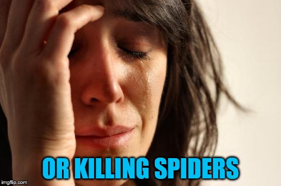 First World Problems Meme | OR KILLING SPIDERS | image tagged in memes,first world problems | made w/ Imgflip meme maker