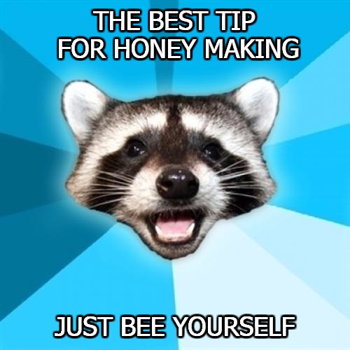 Lame Pun Coon Meme | THE BEST TIP FOR HONEY MAKING; JUST BEE YOURSELF | image tagged in memes,lame pun coon | made w/ Imgflip meme maker