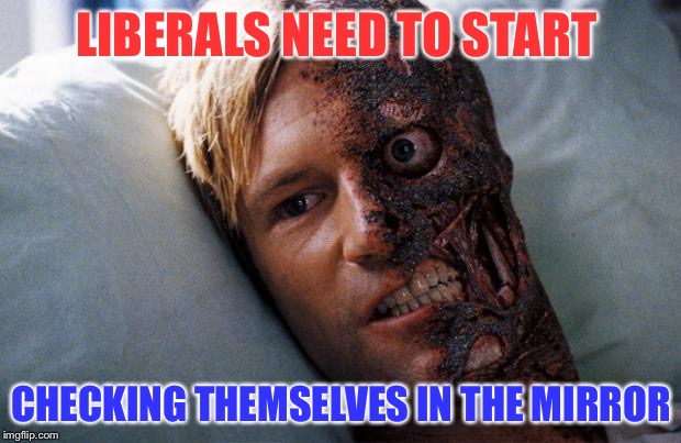 Two Face | LIBERALS NEED TO START; CHECKING THEMSELVES IN THE MIRROR | image tagged in two face | made w/ Imgflip meme maker