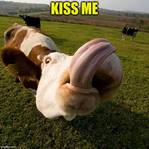 KISS ME | made w/ Imgflip meme maker