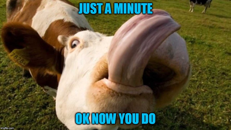 JUST A MINUTE OK NOW YOU DO | made w/ Imgflip meme maker