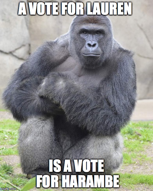 Harambe | A VOTE FOR LAUREN; IS A VOTE FOR HARAMBE | image tagged in harambe | made w/ Imgflip meme maker