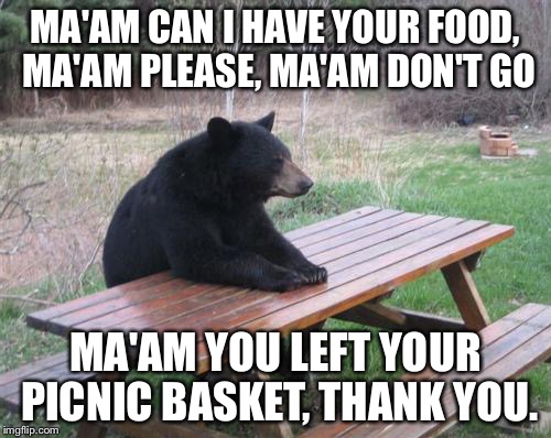 Bad Luck Bear Meme | MA'AM CAN I HAVE YOUR FOOD, MA'AM PLEASE, MA'AM DON'T GO; MA'AM YOU LEFT YOUR PICNIC BASKET, THANK YOU. | image tagged in memes,bad luck bear | made w/ Imgflip meme maker