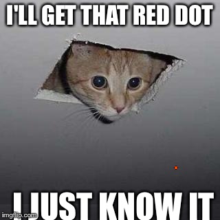 Ceiling Cat | I'LL GET THAT RED DOT; I JUST KNOW IT | image tagged in memes,ceiling cat | made w/ Imgflip meme maker
