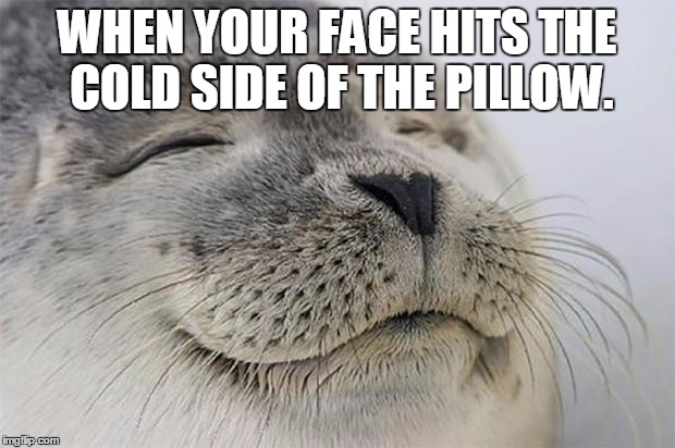 Satisfied Seal | WHEN YOUR FACE HITS THE COLD SIDE OF THE PILLOW. | image tagged in memes,satisfied seal | made w/ Imgflip meme maker