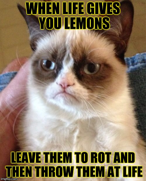 Life's Lemons Suck | WHEN LIFE GIVES YOU LEMONS; LEAVE THEM TO ROT AND THEN THROW THEM AT LIFE | image tagged in memes,grumpy cat | made w/ Imgflip meme maker