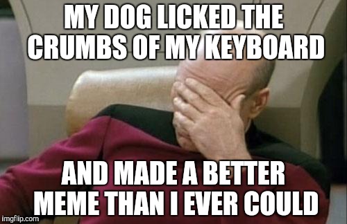Funniest Dog in the World | MY DOG LICKED THE CRUMBS OF MY KEYBOARD; AND MADE A BETTER MEME THAN I EVER COULD | image tagged in memes,captain picard facepalm,dogs,smart dog,hilarious | made w/ Imgflip meme maker