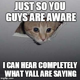 Ceiling Cat Meme | JUST SO YOU GUYS ARE AWARE; I CAN HEAR COMPLETELY WHAT YALL ARE SAYING | image tagged in memes,ceiling cat | made w/ Imgflip meme maker