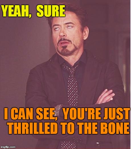 Face You Make Robert Downey Jr Meme | YEAH,  SURE I CAN SEE,  YOU'RE JUST THRILLED TO THE BONE | image tagged in memes,face you make robert downey jr | made w/ Imgflip meme maker