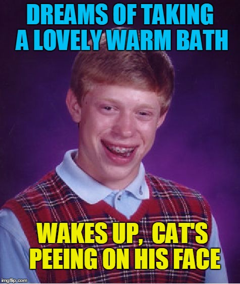 UGH! | DREAMS OF TAKING A LOVELY WARM BATH; WAKES UP,  CAT'S PEEING ON HIS FACE | image tagged in memes,bad luck brian | made w/ Imgflip meme maker