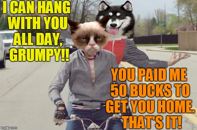Be very careful doing favors for lonely people/dogs!  LOL | I CAN HANG WITH YOU ALL DAY,  GRUMPY!! YOU PAID ME 50 BUCKS TO GET YOU HOME.  THAT'S IT! | image tagged in grumpy | made w/ Imgflip meme maker
