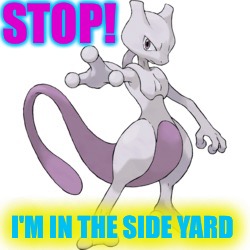STOP! I'M IN THE SIDE YARD | made w/ Imgflip meme maker