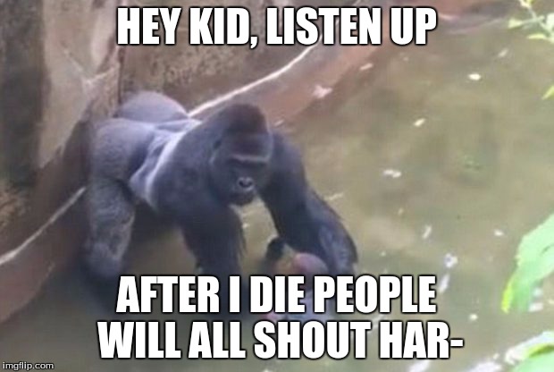 This is getting annoying at my school. | HEY KID, LISTEN UP; AFTER I DIE PEOPLE WILL ALL SHOUT HAR- | image tagged in last moments of harambe,harambe,memes,funny | made w/ Imgflip meme maker