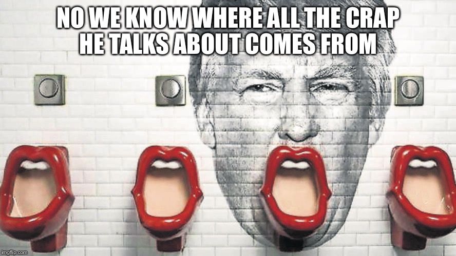 NO WE KNOW WHERE ALL THE CRAP HE TALKS ABOUT COMES FROM | image tagged in donald trump | made w/ Imgflip meme maker
