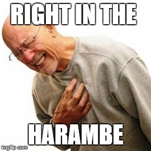 harambe | RIGHT IN THE; HARAMBE | image tagged in memes,right in the childhood | made w/ Imgflip meme maker