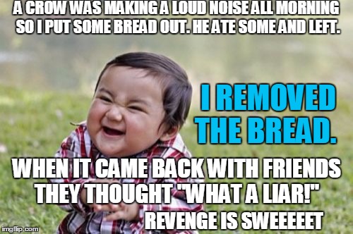 Evil Toddler | A CROW WAS MAKING A LOUD NOISE ALL MORNING SO I PUT SOME BREAD OUT. HE ATE SOME AND LEFT. I REMOVED THE BREAD. WHEN IT CAME BACK WITH FRIENDS THEY THOUGHT "WHAT A LIAR!"; REVENGE IS SWEEEEET | image tagged in memes,evil toddler | made w/ Imgflip meme maker