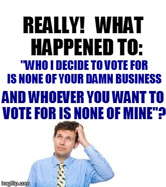 REALLY!   WHAT  HAPPENED TO: AND WHOEVER YOU WANT TO VOTE FOR IS NONE OF MINE"? "WHO I DECIDE TO VOTE FOR IS NONE OF YOUR DAMN BUSINESS | made w/ Imgflip meme maker