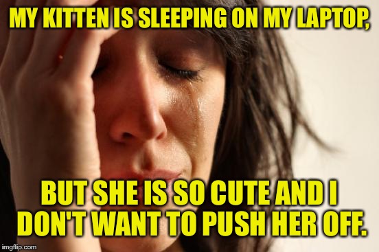 My weakness... | MY KITTEN IS SLEEPING ON MY LAPTOP, BUT SHE IS SO CUTE AND I DON'T WANT TO PUSH HER OFF. | image tagged in memes,first world problems,kittens,funny memes | made w/ Imgflip meme maker