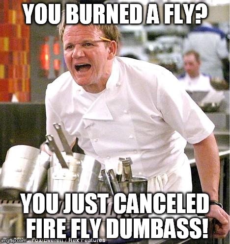 Chef Gordon Ramsay | YOU BURNED A FLY? YOU JUST CANCELED FIRE FLY DUMBASS! | image tagged in memes,chef gordon ramsay | made w/ Imgflip meme maker