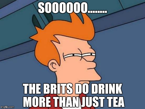 Futurama Fry Meme | SOOOOOO........ THE BRITS DO DRINK MORE THAN JUST TEA | image tagged in memes,futurama fry | made w/ Imgflip meme maker