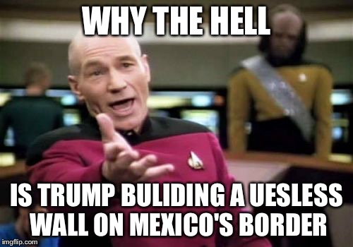 Trump | WHY THE HELL; IS TRUMP BULIDING A UESLESS WALL ON MEXICO'S BORDER | image tagged in memes,picard wtf,trump | made w/ Imgflip meme maker