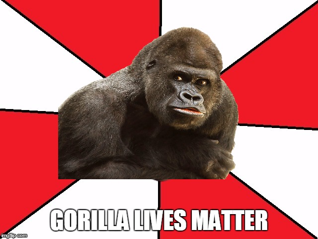 Gorilla Lives Matter | GORILLA LIVES MATTER | image tagged in gorilla | made w/ Imgflip meme maker