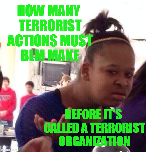 If you're a peaceful member of BLM, I would suggest doing some back-pedaling | HOW MANY TERRORIST ACTIONS MUST BLM MAKE; BEFORE IT'S CALLED A TERRORIST ORGANIZATION | image tagged in memes,black girl wat | made w/ Imgflip meme maker
