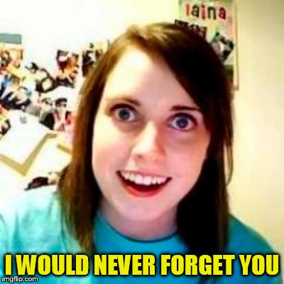 I WOULD NEVER FORGET YOU | made w/ Imgflip meme maker