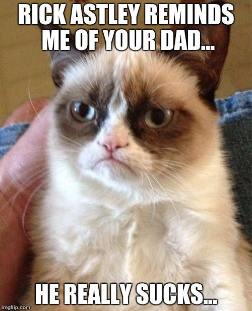 Grumpy Cat Meme | RICK ASTLEY REMINDS ME OF YOUR DAD... HE REALLY SUCKS... | image tagged in memes,grumpy cat | made w/ Imgflip meme maker