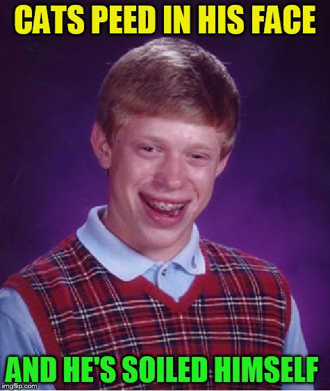 Bad Luck Brian Meme | CATS PEED IN HIS FACE AND HE'S SOILED HIMSELF | image tagged in memes,bad luck brian | made w/ Imgflip meme maker