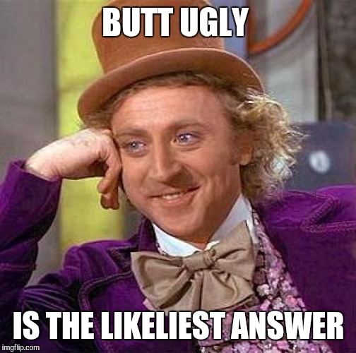 Creepy Condescending Wonka Meme | BUTT UGLY IS THE LIKELIEST ANSWER | image tagged in memes,creepy condescending wonka | made w/ Imgflip meme maker