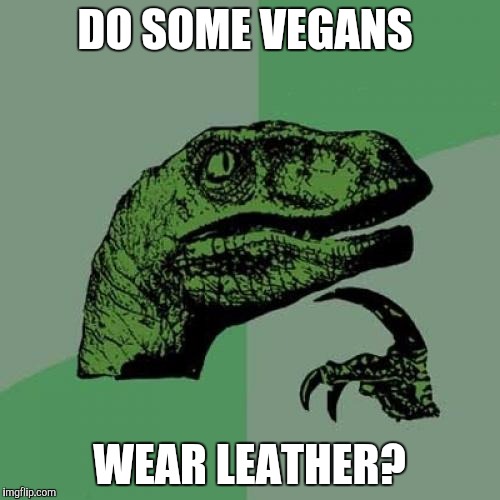 Fashionable Philosoraptor | DO SOME VEGANS; WEAR LEATHER? | image tagged in memes,philosoraptor,vegan,leather | made w/ Imgflip meme maker