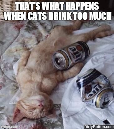 THAT'S WHAT HAPPENS WHEN CATS DRINK TOO MUCH | made w/ Imgflip meme maker