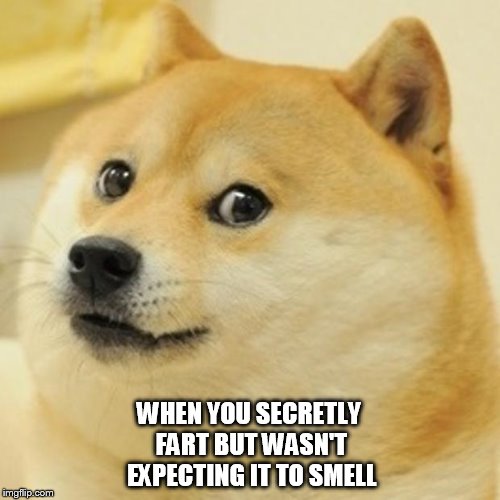 Doge Meme | WHEN YOU SECRETLY FART BUT WASN'T EXPECTING IT TO SMELL | image tagged in memes,doge | made w/ Imgflip meme maker