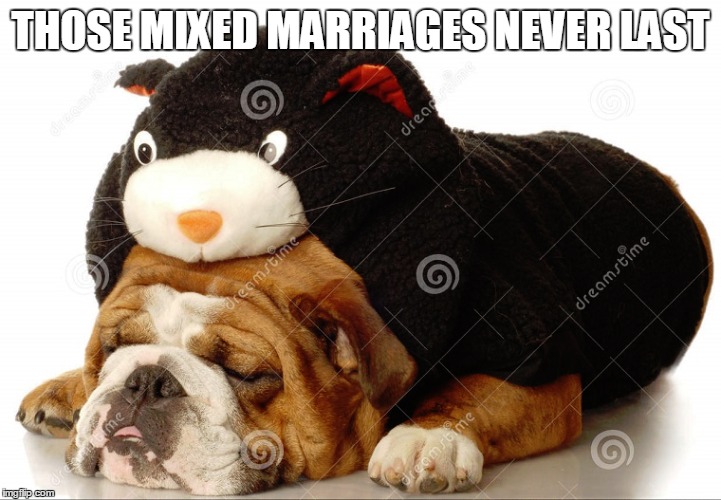 THOSE MIXED MARRIAGES NEVER LAST | made w/ Imgflip meme maker