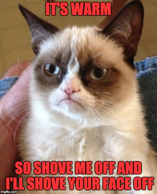 Grumpy Cat Meme | IT'S WARM SO SHOVE ME OFF AND I'LL SHOVE YOUR FACE OFF | image tagged in memes,grumpy cat | made w/ Imgflip meme maker