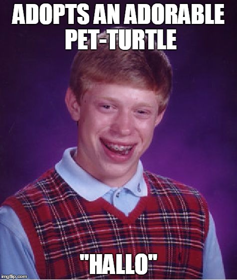 Bad Luck Brian Meme | ADOPTS AN ADORABLE PET-TURTLE; "HALLO" | image tagged in memes,bad luck brian,asdfmovie | made w/ Imgflip meme maker