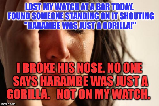 Harambe was never "just a gorilla" | LOST MY WATCH AT A BAR TODAY.  FOUND SOMEONE STANDING ON IT SHOUTING "HARAMBE WAS JUST A GORILLA!"; I BROKE HIS NOSE. NO ONE SAYS HARAMBE WAS JUST A GORILLA.  
NOT ON MY WATCH. | image tagged in memes,first world problems,harambe,dicksoutforharambe,dank,leongambetta | made w/ Imgflip meme maker