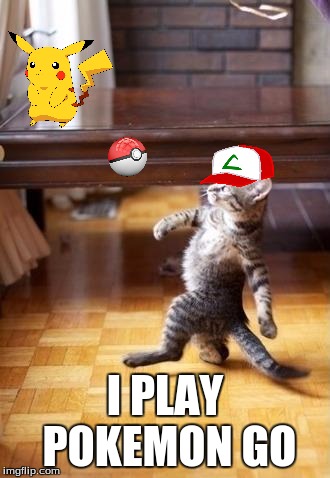 FYI, I don't play Pokemon Go. (Part Three) | I PLAY POKEMON GO | image tagged in memes,cool cat stroll,pokemon,funny,animals,pikachu | made w/ Imgflip meme maker