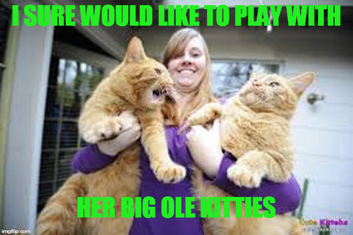 Put those kitties in my face.. | I SURE WOULD LIKE TO PLAY WITH; HER BIG OLE KITTIES | image tagged in cute kittens | made w/ Imgflip meme maker