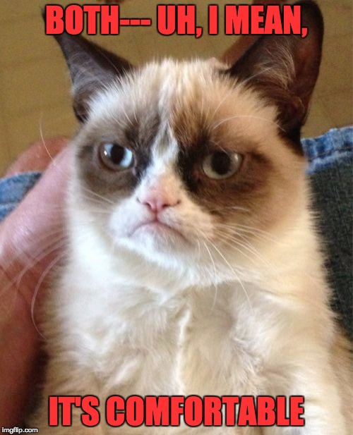 Grumpy Cat Meme | BOTH--- UH, I MEAN, IT'S COMFORTABLE | image tagged in memes,grumpy cat | made w/ Imgflip meme maker